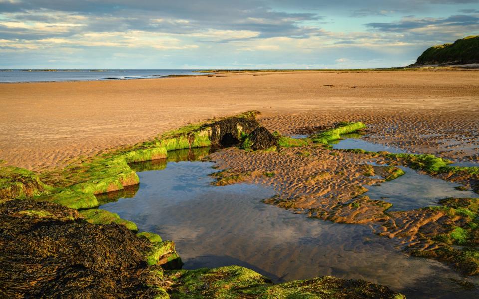 Πισίνες βράχου στην παραλία Hauxley μεταξύ Amble και Druridge Bay