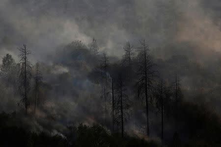 Smoke rises from a charred hill during the Detwiler fire in Mariposa, California U.S. July 19, 2017. REUTERS/Stephen Lam