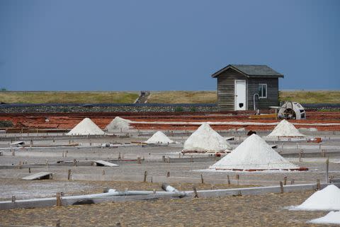 臺南市觀旅局為振興觀光業者，鼓勵各地遊客來臺南旅遊吃美食。PHOTO CREDIT: 台南市政府觀光旅遊局