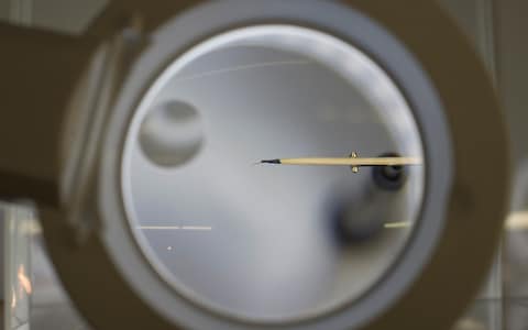 A single eyelash glued to a cocktail stick is used by technicians at The Crick  - Credit: Eddie Mulholland for The Telegraph
