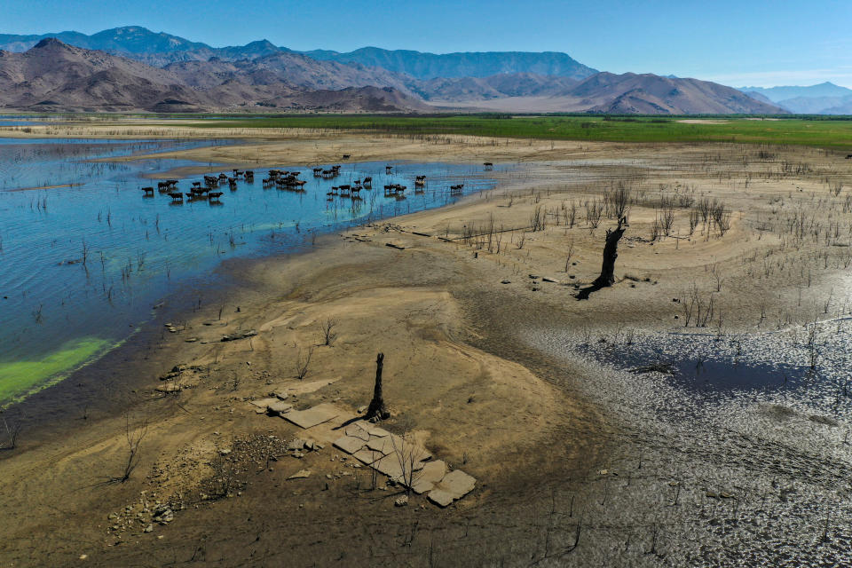 Amplias zonas del lecho del Lago Isabella, en el centro de California, aparecen expuestas por el descenso del nivel de las aguas ocasionado por la severa sequía que afecta el oeste de Estados Unidos. (David McNew/Getty Images)