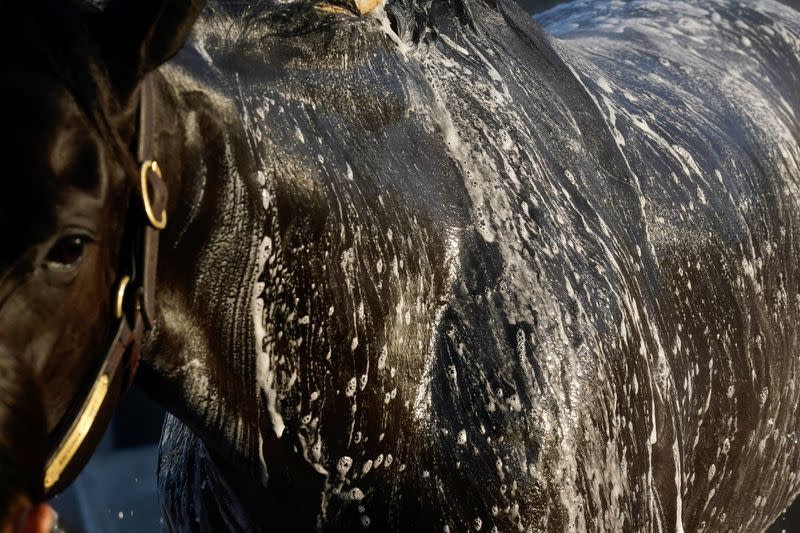 147th Kentucky Derby preparation at Churchill Downs in Louisville, Kentucky