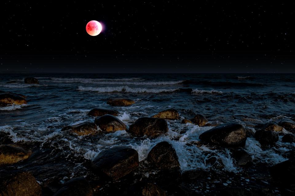 血月(Photo Credit: Bru-nO@pixabay.com, License CC0，圖片來源：https://pixabay.com/zh/photos/lunar-eclipse-moon-blood-moon-sky-4543464/)