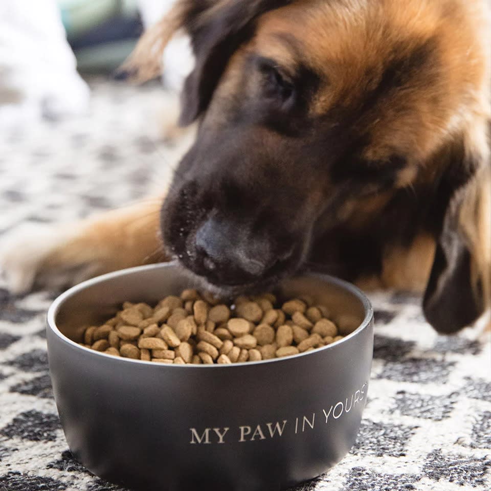 My Paw In Yours Dog Bowl