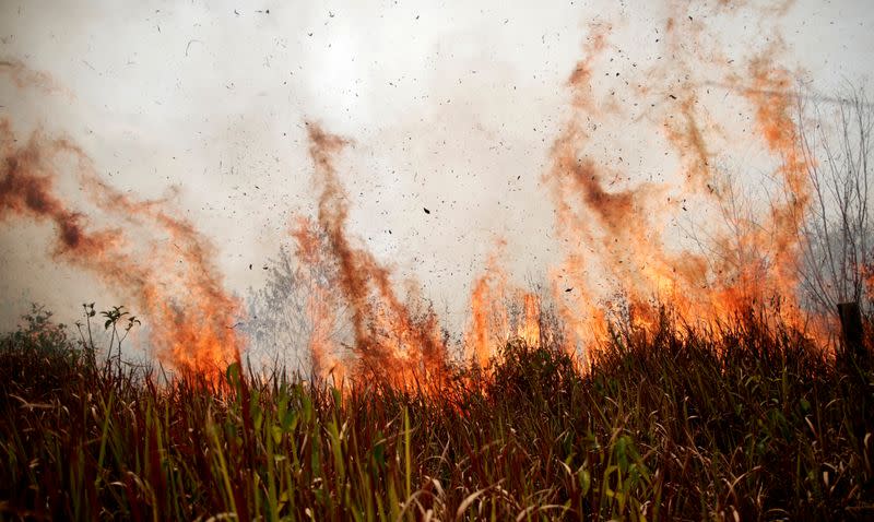 FILE PHOTO: Tract of the Amazon jungle burns as it is cleared by loggers and farmers in Porto Velho