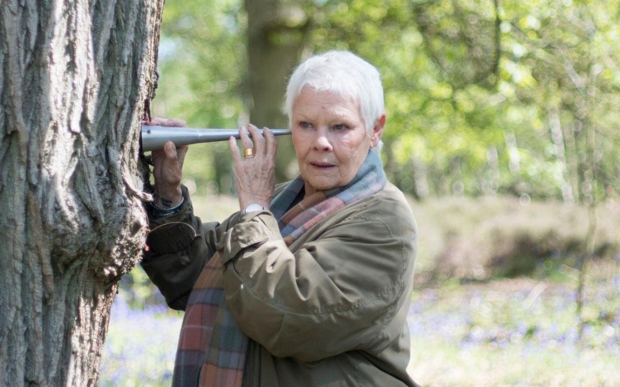 Judi Dench listens to water rising through the bark of an oak tree  - WARNING: Use of this copyright image is subject to the terms of use of BBC Pictures' Digital Picture