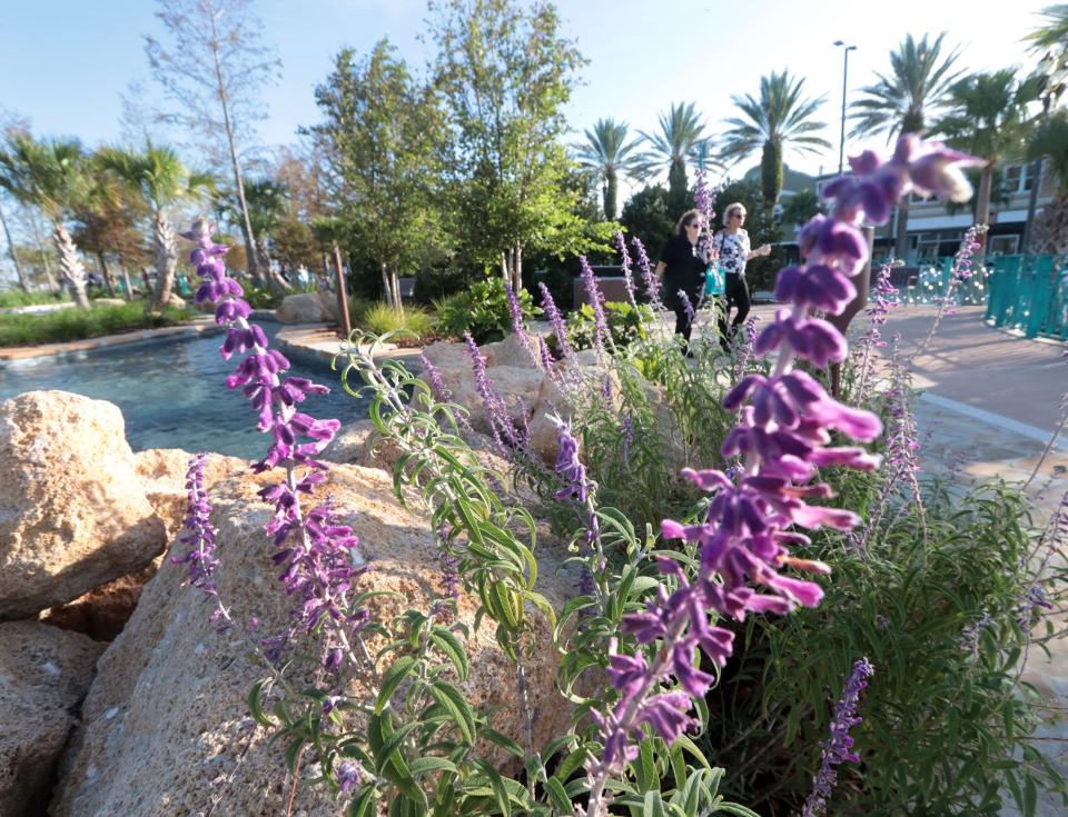 A meandering stream, hundreds of flowering plants and lush greenery, walking paths, swings, a splash pad and a shaded picnic area are just some of the features inside the new southern Riverfront Esplanade along Beach Street in downtown Daytona Beach.