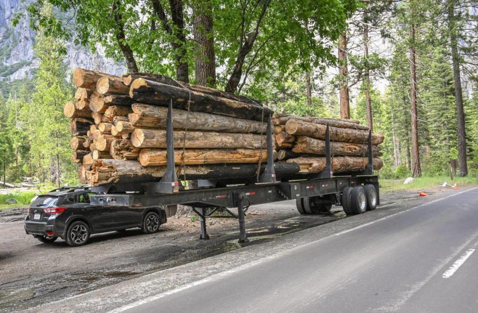 A trailer filled with felled logs sits on the side of Northside Drive in Yosemite Valley on Tuesday, June 14, 2023.