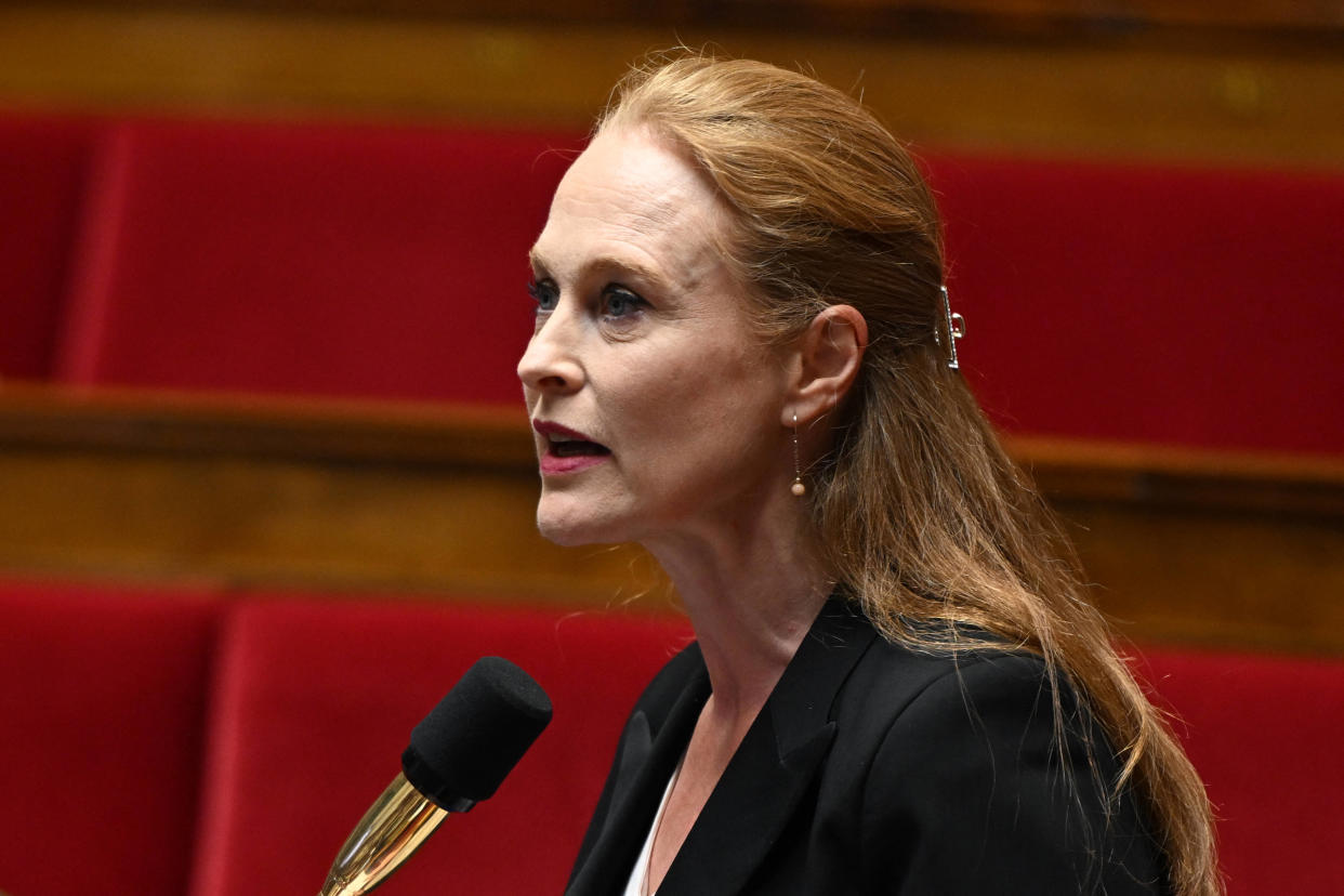 Violette Spillebout, ici à l’Assemblée nationale à paris, le 21 novembre 2023. A3.