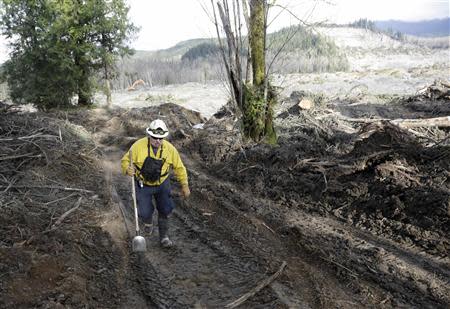 Benton County Fire District 1 Assistant Chief Jack Coats, serving as a task force leader, makes his way up a road on as search work continues in the mud and debris from a massive mudslide that struck Oso near Darrington, Washington April 2, 2014. REUTERS/Jason Redmond