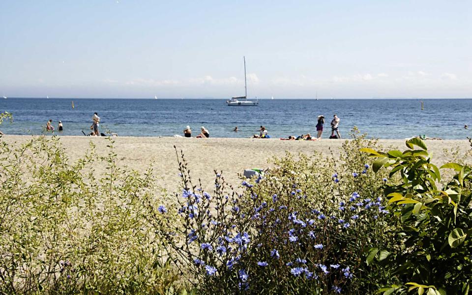 Amager Beach