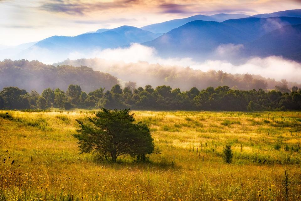 Great Smoky Mountains Railroad