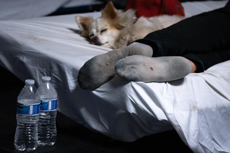 A homeless person and his dog sleep on their bunk at St. Vincent de Paul Shelter in Phoenix on June 3, 2022.
