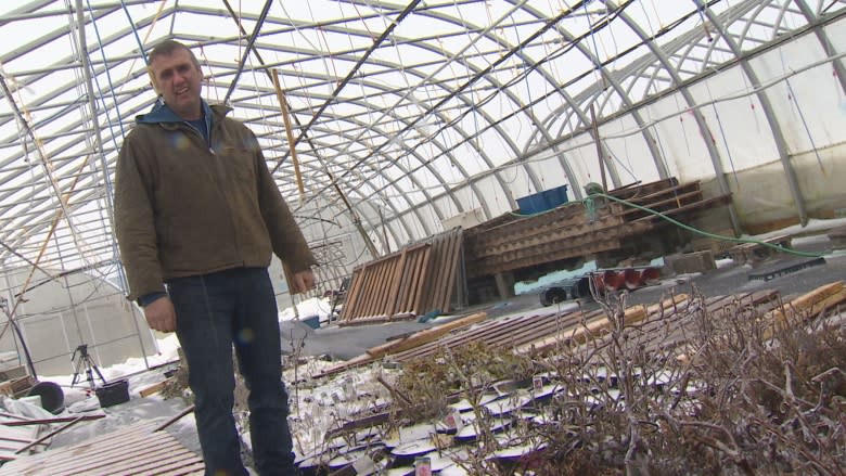 Greenhouse damage at Lester's Farm won't delay spring opening