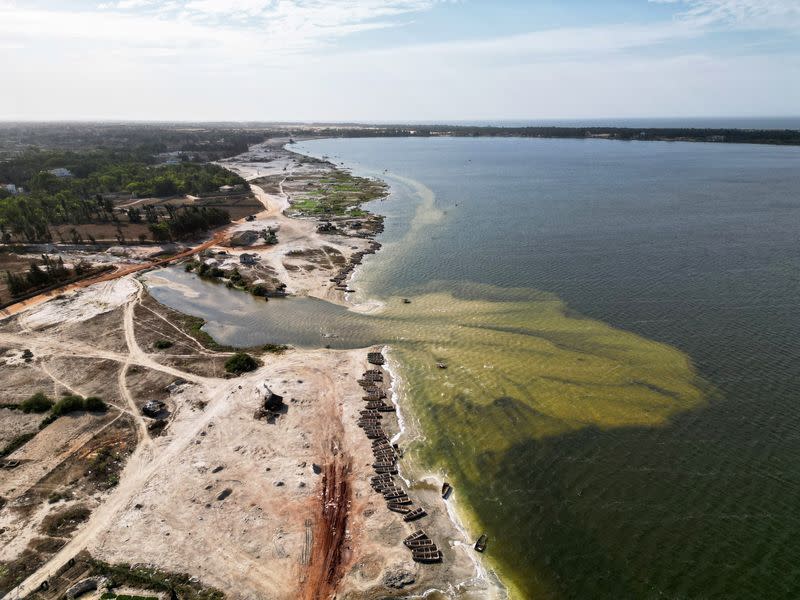 Pirogues lie on the bank of the Pink Lake, in Niaga