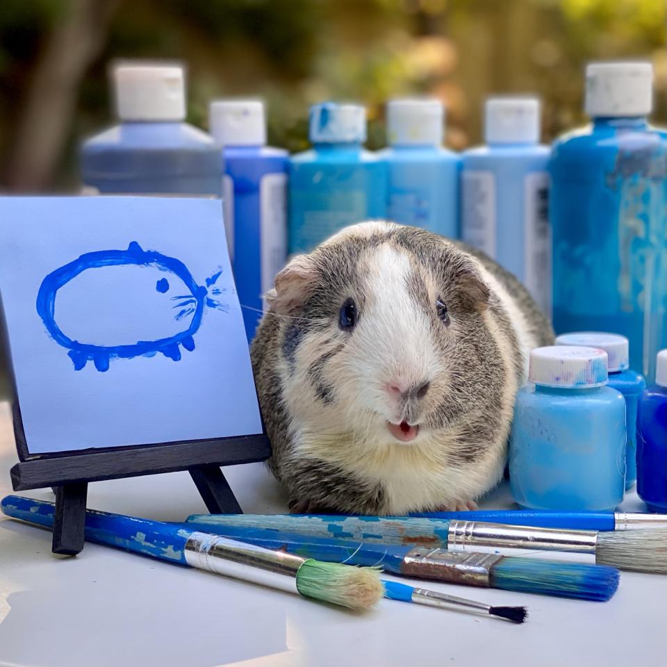 One of the guinea pigs as an artist in his blue period (Collect/PA Real Life)