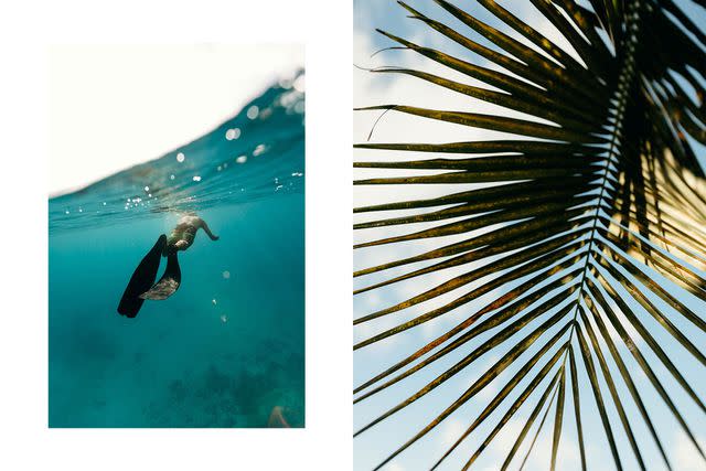 <p>Meredith Zimmerman</p> From left: Snorkeling off St. John; Cruz Bay flora.