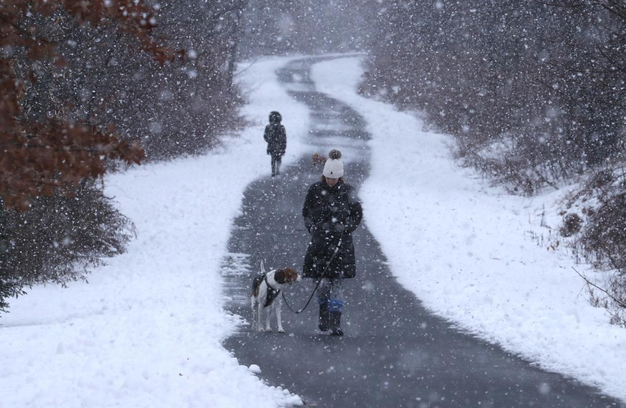 Jennifer Delia walks Jan. 7 with her dog, Bella, on the Joseph B. Clarke Rail Trail in Blauvelt. The trail goes from Tappan to Blauvelt, where the old Erie Railroad ran.