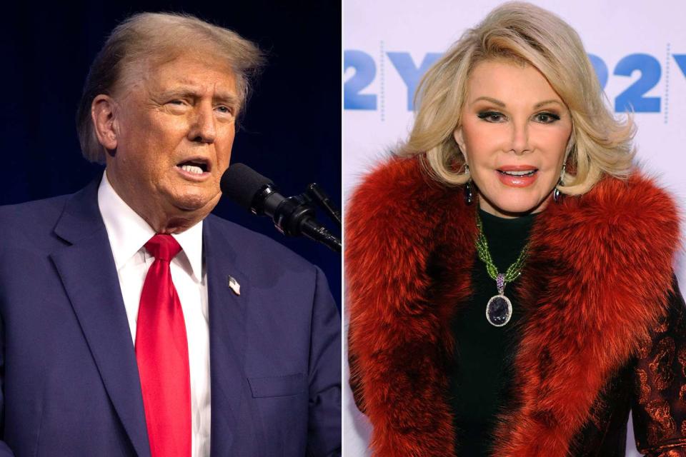 <p>Bill Pugliano/Getty Images; Ilya S. Savenok/Getty Images</p> Donald Trump and Joan Rivers