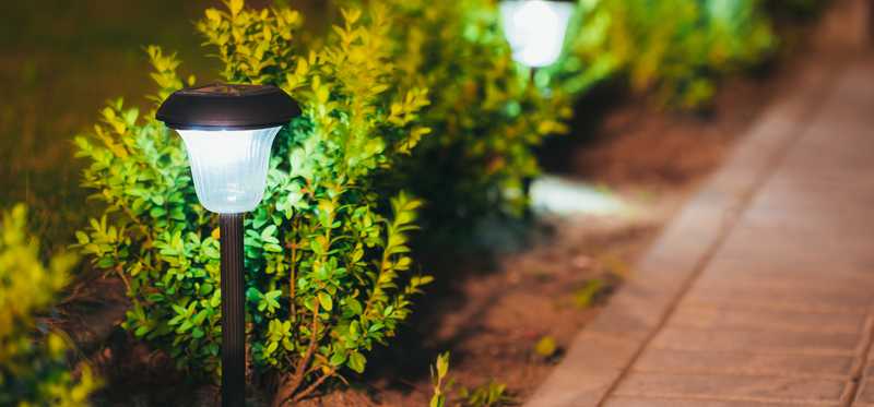 Solar lights along a walkway.