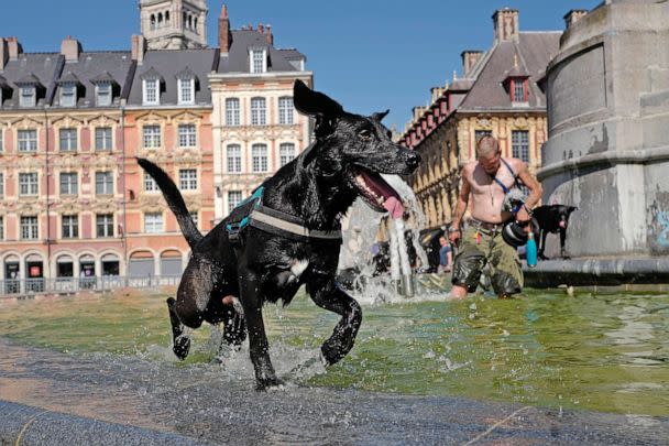 PHOTO: A dog plays in a fountain in Lille, northern France, as Europe is under an unusually extreme heatwave, July 19, 2022.  (Michel Spingler/AP)