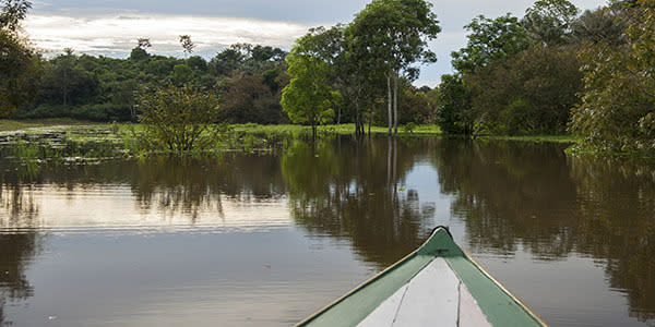 <b>Take a journey to the Amazon </b> Manaus is a colonial city in the heart of the Amazon jungle. From the city, you can take a few hours boat ride deep into the jungle. You’ll feel like an explorer as you chug along the river, witnessing the towering rainforest and abundant wildlife. For most people, two or three days are enough to get the experience but not tire of it.