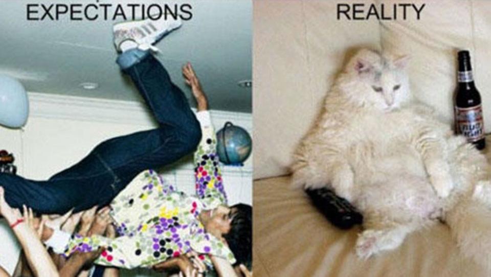 The best Expectation vs Reality fails