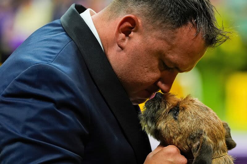 A dog licks its handler during the terrier group competition at the 148th Westminster Kennel Club dog show, Tuesday, May 14, 2024, at the USTA Billie Jean King National Tennis Center in New York. | Julia Nikhinson