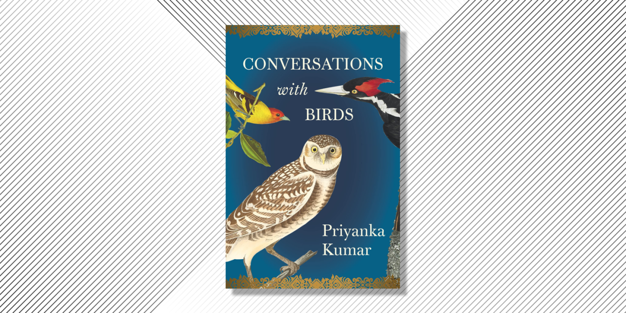 conversations with birds