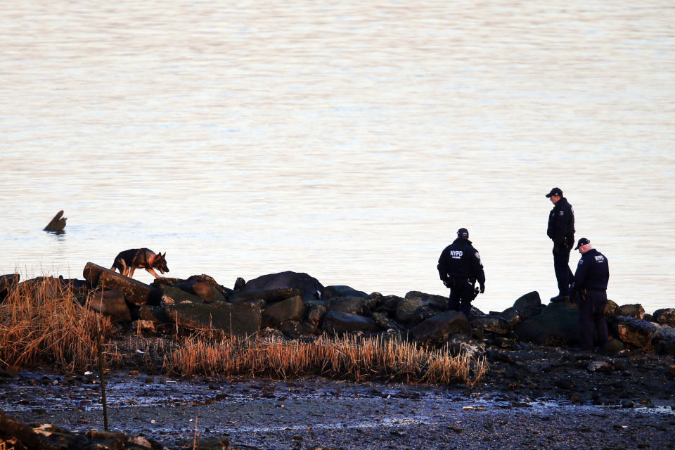 A New York Police Department canine unit continues the search for human remains after an arm and legs were discovered along a rocky shoreline in the Queens borough of New York, Friday, Jan. 17, 2014. Police were investigating whether human remains found along the shore of New York City's East River could be those of an autistic teen who walked out of his school and vanished more than three months ago, a law enforcement official said Friday. Fourteen-year-old Avonte Oquendo has been missing since Oct. 4, the day he walked out of his school. Authorities are not clear whether the remains found Thursday belong to the missing teen. They were discovered at least 11 miles driving distance from his school. (AP Photo/Jason DeCrow)