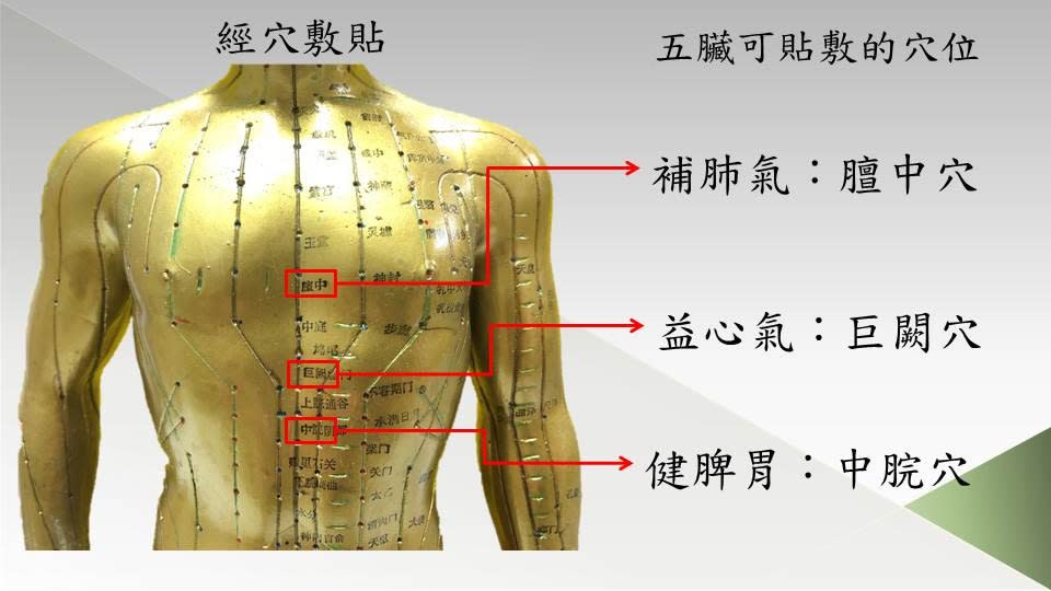 「五臟三伏貼」的重要治療穴位。（記者張誼攝）