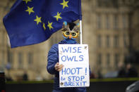 Una partidaria de seguir en la UE, Juliet Mills, una londinense de 67 años, posa para una fotografía ante el Palacio de Westminster, en Londres, el 14 de febrero de 2019. Juliet cree que no seguir adelante con el Brexit y seguir en el bloque sería la mejor forma de avanzar. A apenas unos días de la fecha oficial del Brexit, en los terrenos aledaños al parlamento, los verdaderos creyentes se reúnen cada día para tratar de influir en los legisladores, llamar la atención sobre su causa y ganar nuevos apoyos. (AP Foto/Matt Dunham)