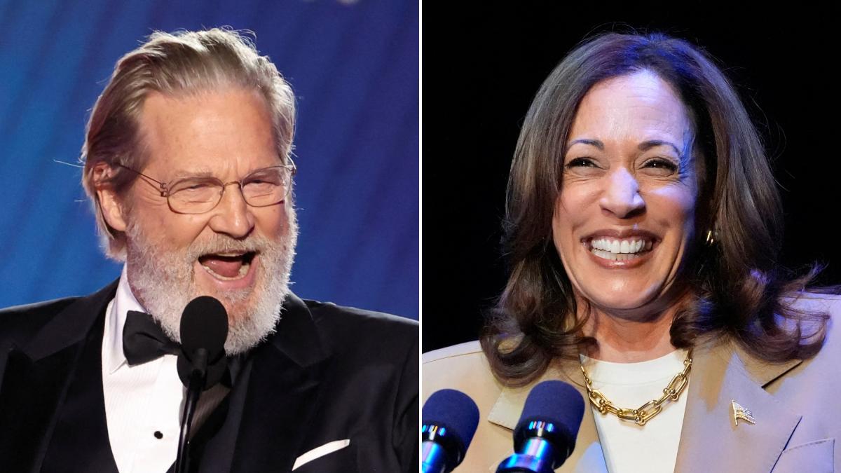 'White Dudes for Harris' raises 4.2 million during starstudded Zoom