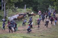 Un grupo de migrantes haitianos continúa su viaje hacia el norte el miércoles 15 de septiembre de 2021, en Acandí, Colombia. (AP Foto/Fernando Vergara)