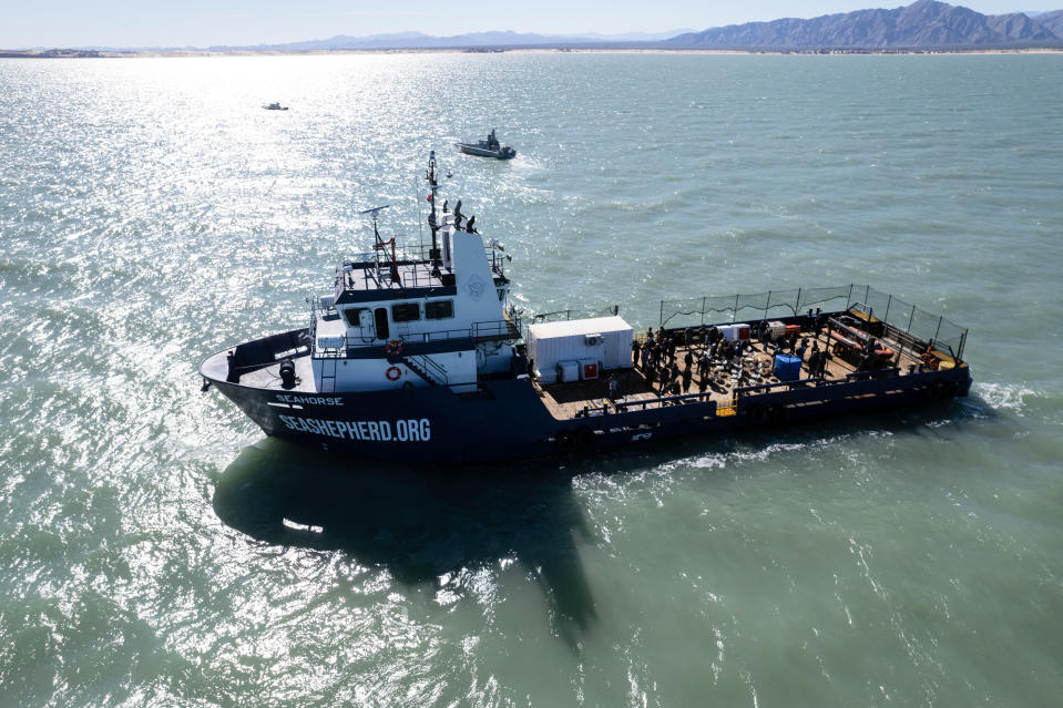 A vessel deployed to help on the efforts to save the endangered vaquita porpoise sails during a presentation to the media near San Felipe, Mexico (Guillermo Arias / AFP via Getty Images file)