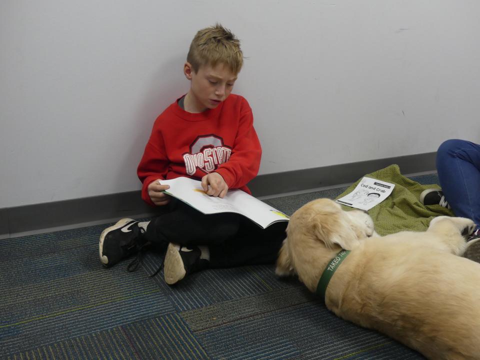 Takeo the therapy dog listens to children as they read book out loud. Takeo provides a judgment-free zone where kids can learn without fear of being made fun of.