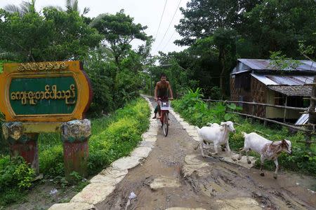 A man rides his bike at Kanhla village, an area to be included in the New City Project, outside Yangon August 30, 2014. REUTRS/Soe Zeya Tun