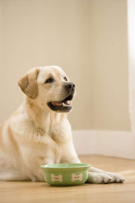 Use this list to decode pet food labels.