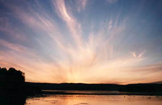 Cirrus clouds in the tropics don't stop water from entering the stratosphere, a new study finds.