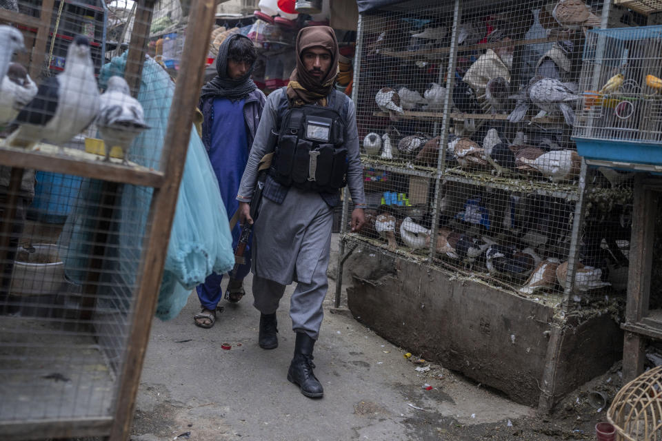 Taliban fighters patrol at a bird market in Kabul, Afghanistan, Tuesday, Nov. 16, 2021. (AP Photo/Petros Giannakouris)