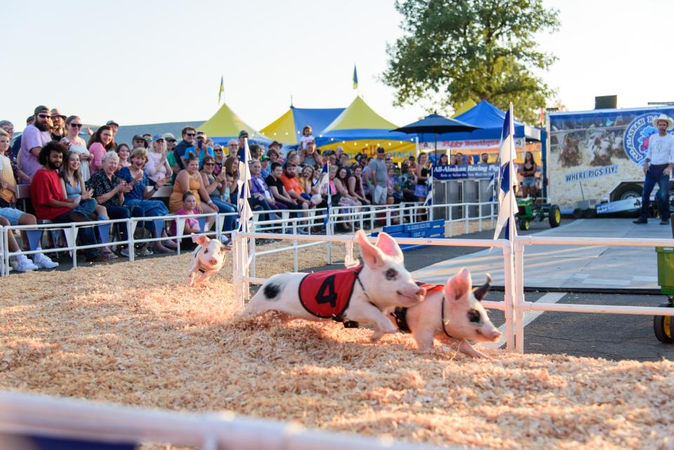 All Alaskan Racing Pigs will return to the Lane County Fair this year.