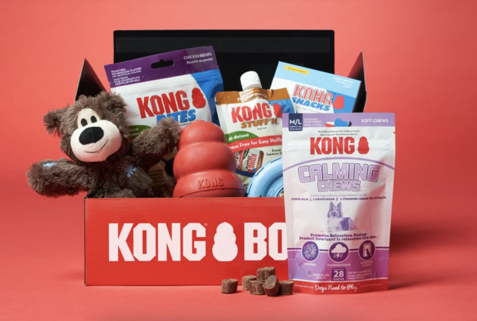 kong box dog box