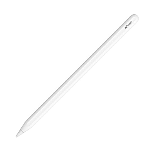 Apple Pencil (2nd Generation) (Amazon / Amazon)