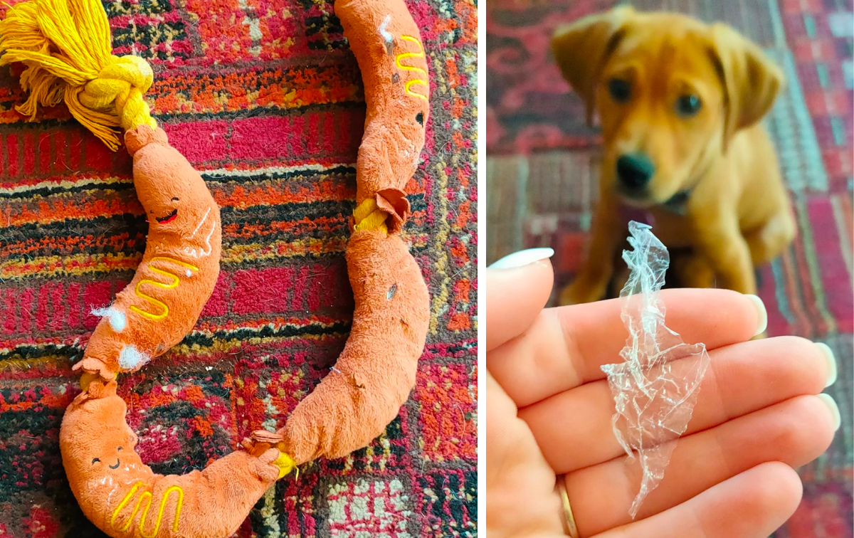 Kmart sausage pet toy; woman's hand holding a piece of plastic with pet dog in background