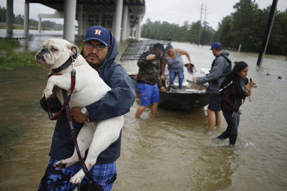 A man carries a dog after being rescued from rising floodwaters due to Hurricane Harvey at the Highland Glen housing development in Spring, Texas, U.S., on Monday, Aug. 28, 2017. A deluge of rain and rising floodwaters leftï¿½Houstonï¿½immersed and helpless,ï¿½crippling a global center of the oil industry and testing the economic resiliency of a state thats home to almost 1 in 12 U.S. workers. Photographer: Luke Sharrett/Bloomberg via Getty Images