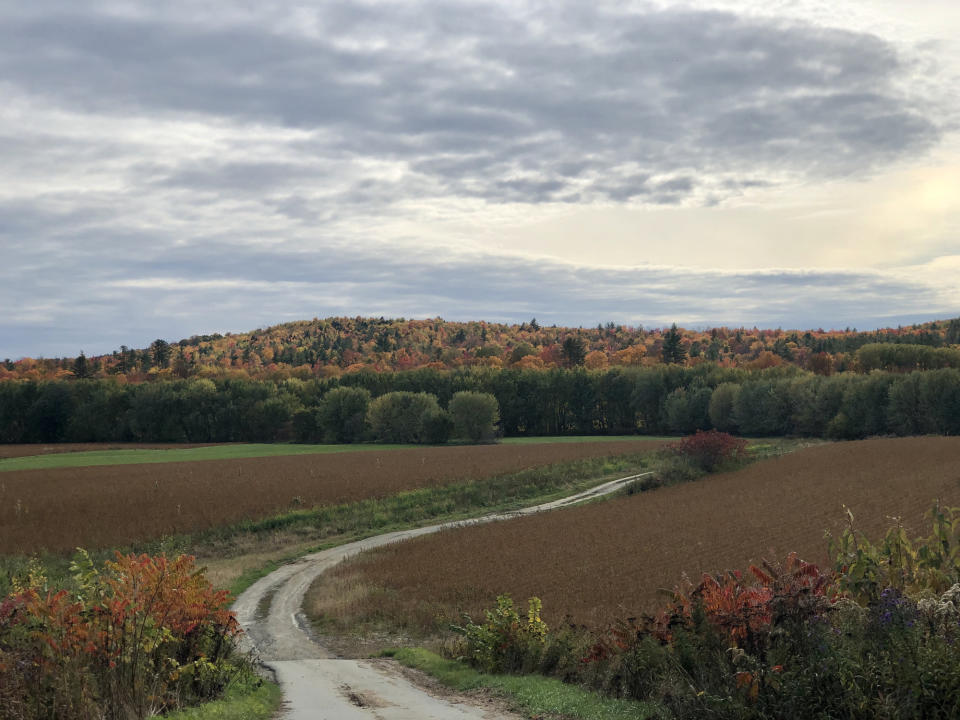 A road in a rural area