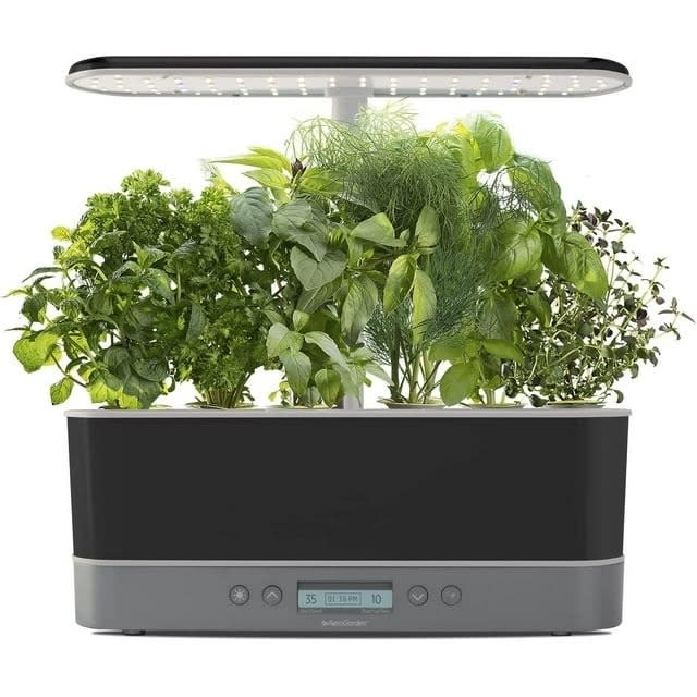 the black countertop herb garden