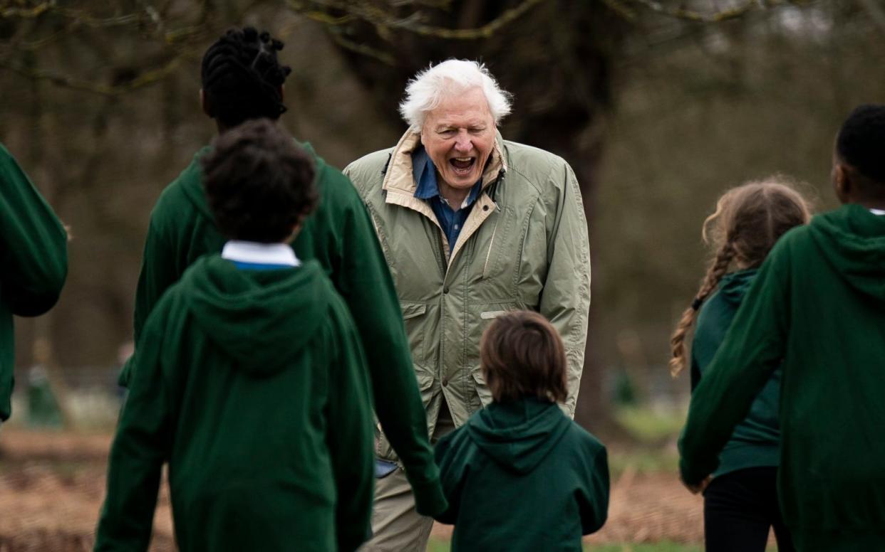 Sir David Attenborough plants a tree, in honour of Queen Elizabeth II - Aaron Chown