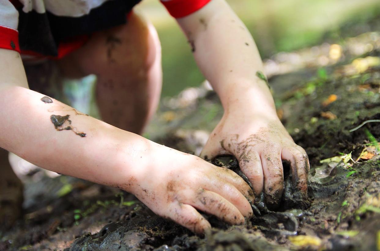 Dig into soil and you'll find rock dust but also thousands of living species. <a href="https://www.gettyimages.com/detail/photo/little-childs-hands-digging-in-the-mud-royalty-free-image/619539728" rel="nofollow noopener" target="_blank" data-ylk="slk:ChristinLola/iStock/Getty Images Plus;elm:context_link;itc:0;sec:content-canvas" class="link ">ChristinLola/iStock/Getty Images Plus</a>