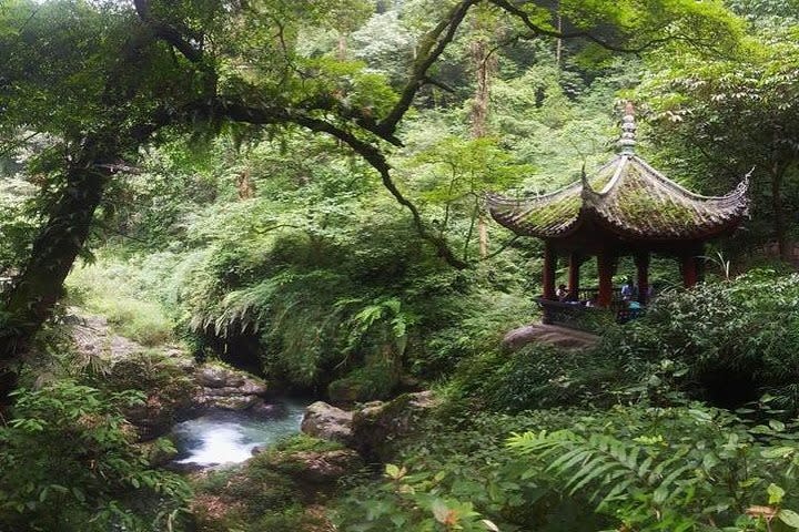 Mt Emei 1-Day Tour. (Photo: Agoda)